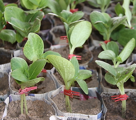 9个现代农业产业技术体系 为产业增效14.5亿元