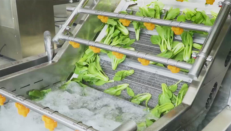 净菜加工