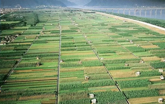 农业农村部发布农作物、畜禽、水产各10大优异资源